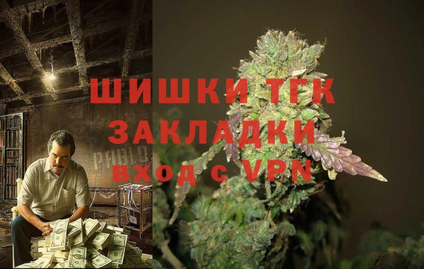 СК Верхний Тагил
