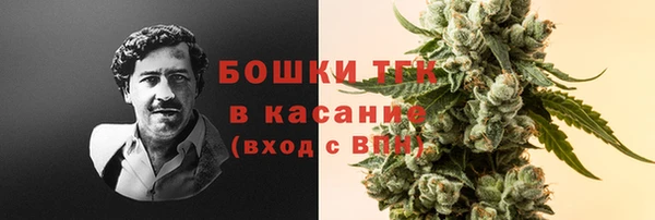 Альфа ПВП Верея