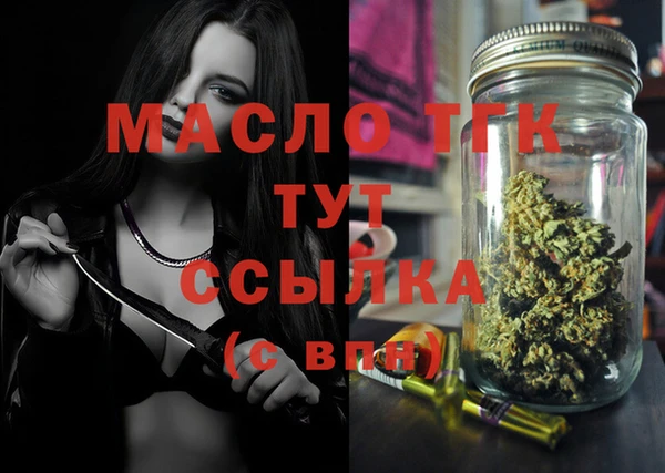 Альфа ПВП Верея
