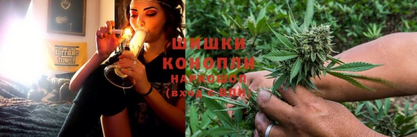 Альфа ПВП Верея