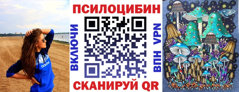 Псилоцибиновые грибы мицелий  Стерлитамак 